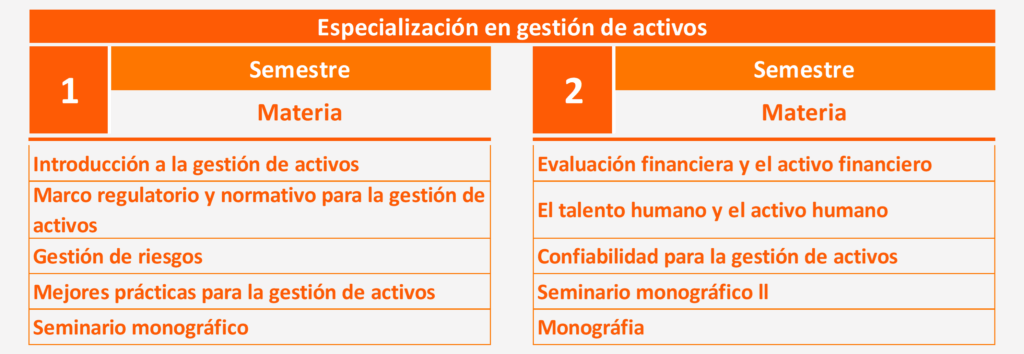pensum especializacion gestion de activo